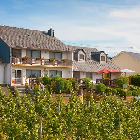 Pension und Weingut Moselblick-3