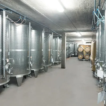 Pension und Weingut Moselblick-2